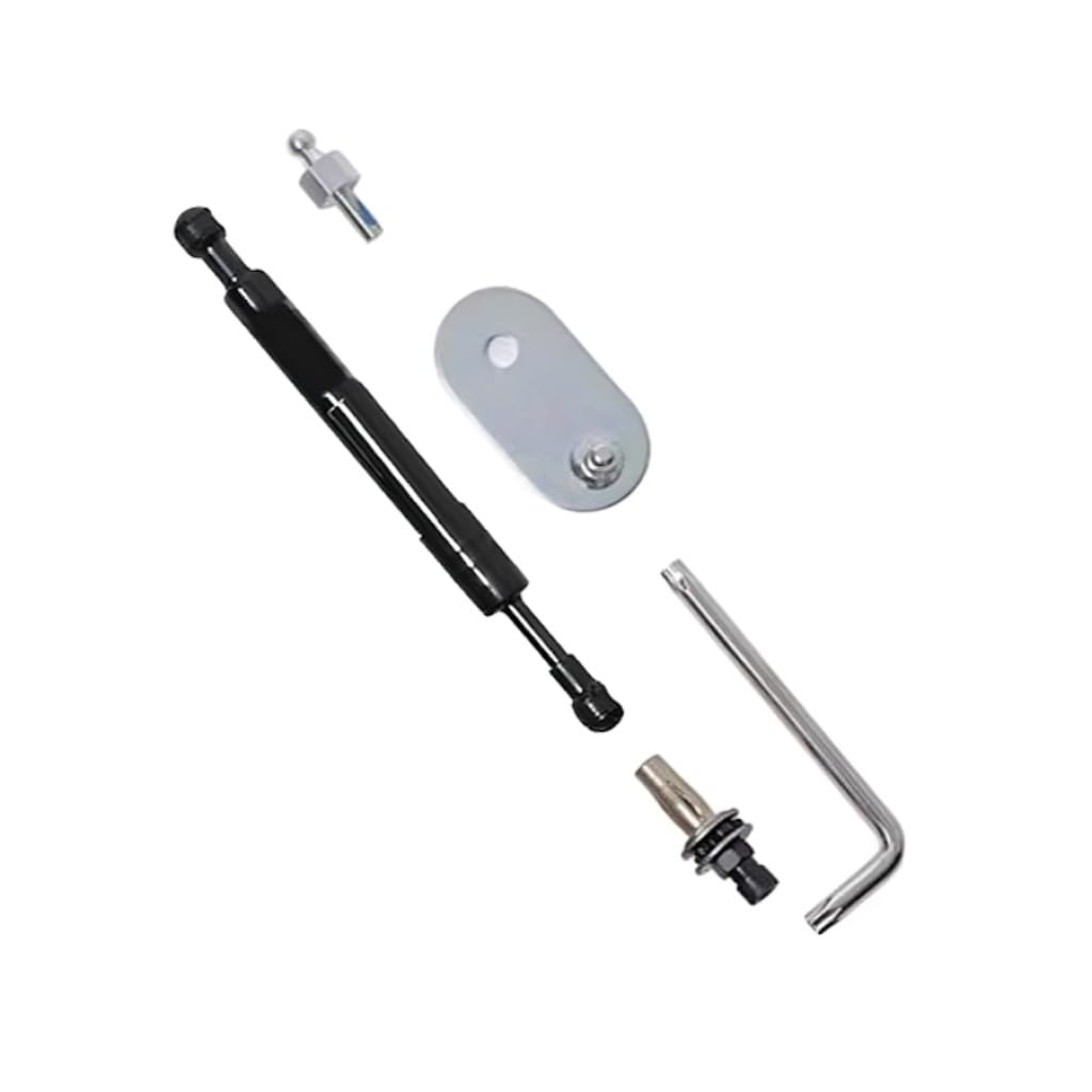 Amazon.com: Dee-Zee Tailgate Assist For Ford F-150 2015-2021 Black